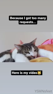 deliciousdutchfeet Onlyfans leaked video 8322552 on Hotleaks.tv