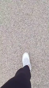 8322692