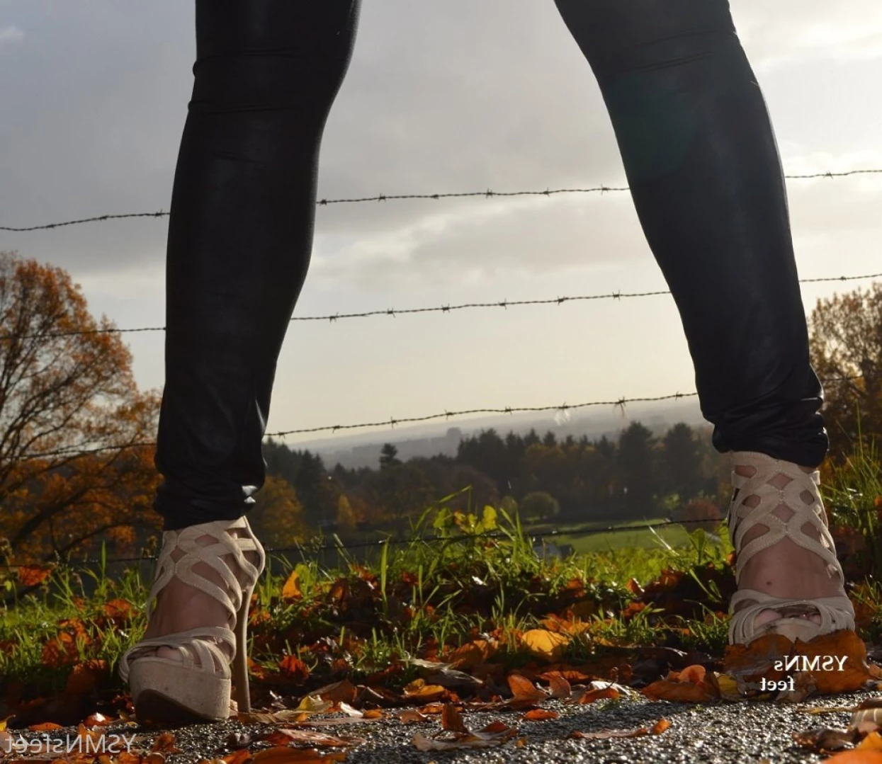 deliciousdutchfeet Onlyfans leaked photo 13893959 on Hotleaks.tv