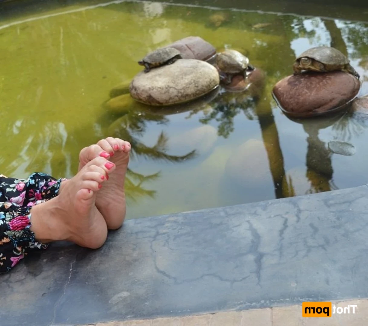 deliciousdutchfeet Onlyfans leaked photo 13896673 on Hotleaks.tv