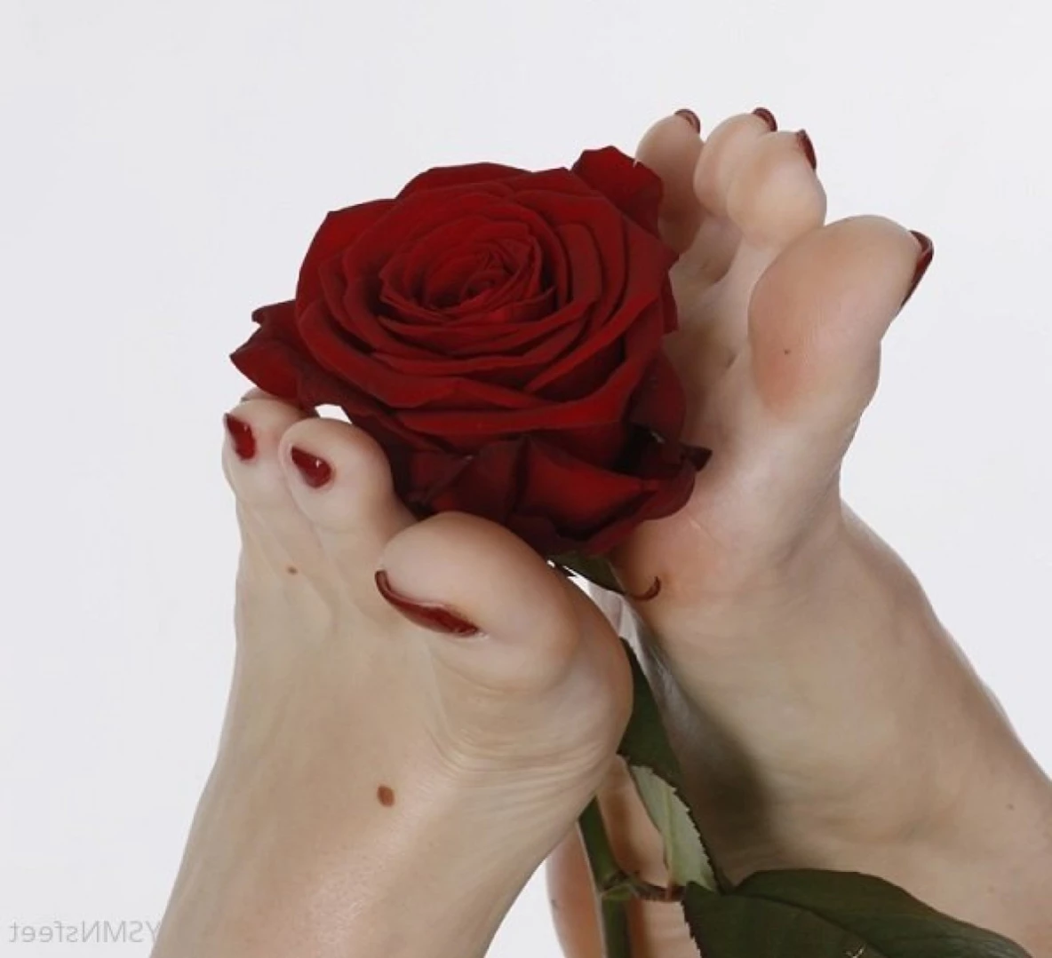 deliciousdutchfeet Onlyfans leaked photo 13913693 on Hotleaks.tv