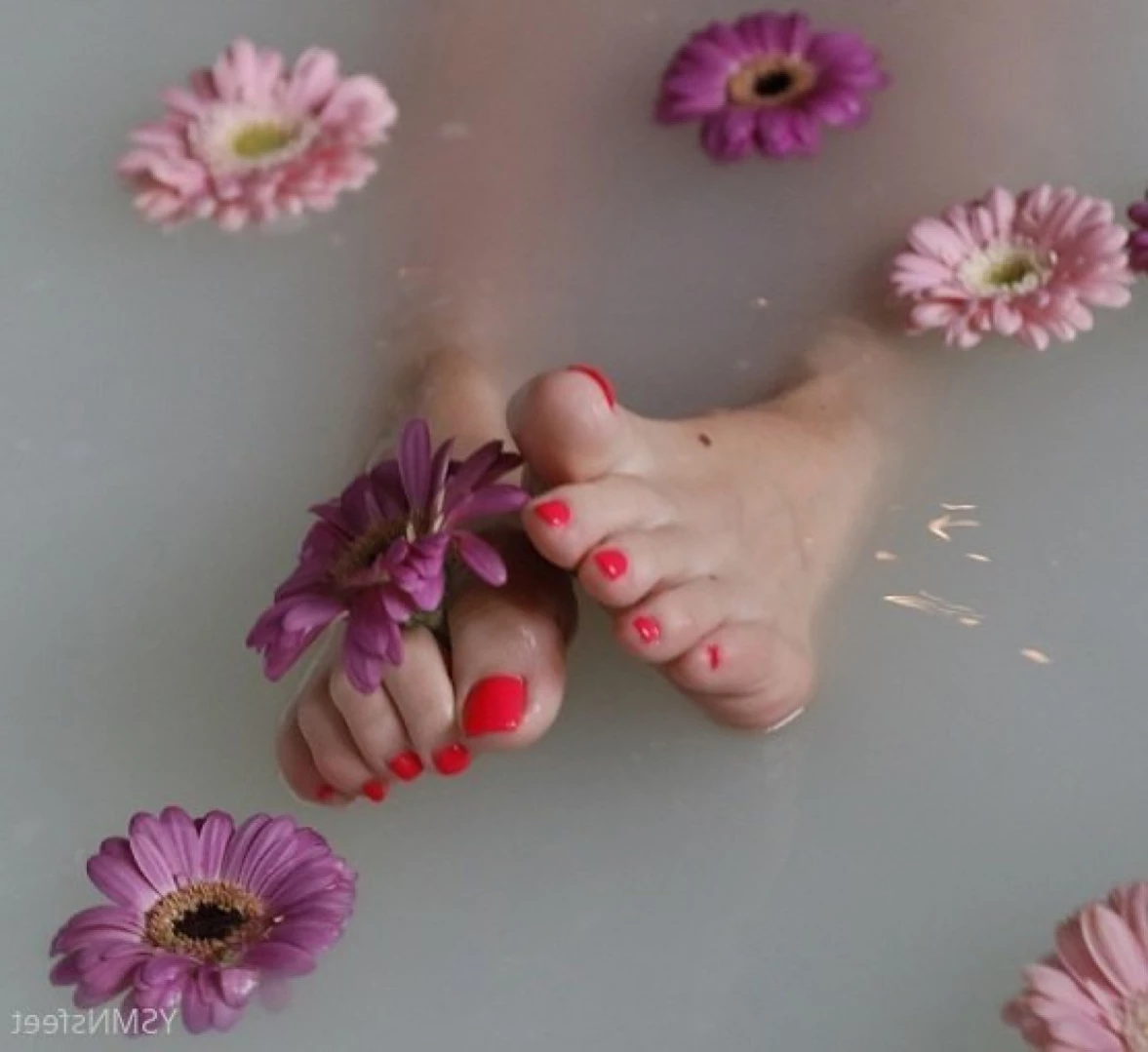 deliciousdutchfeet Onlyfans leaked photo 15650199 on Hotleaks.tv