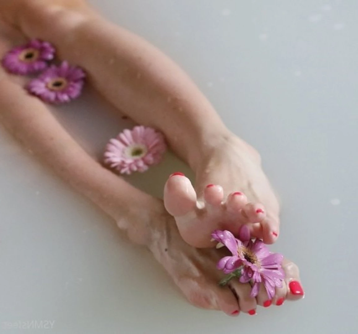 deliciousdutchfeet Onlyfans leaked photo 16075357 on Hotleaks.tv