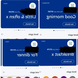16505309