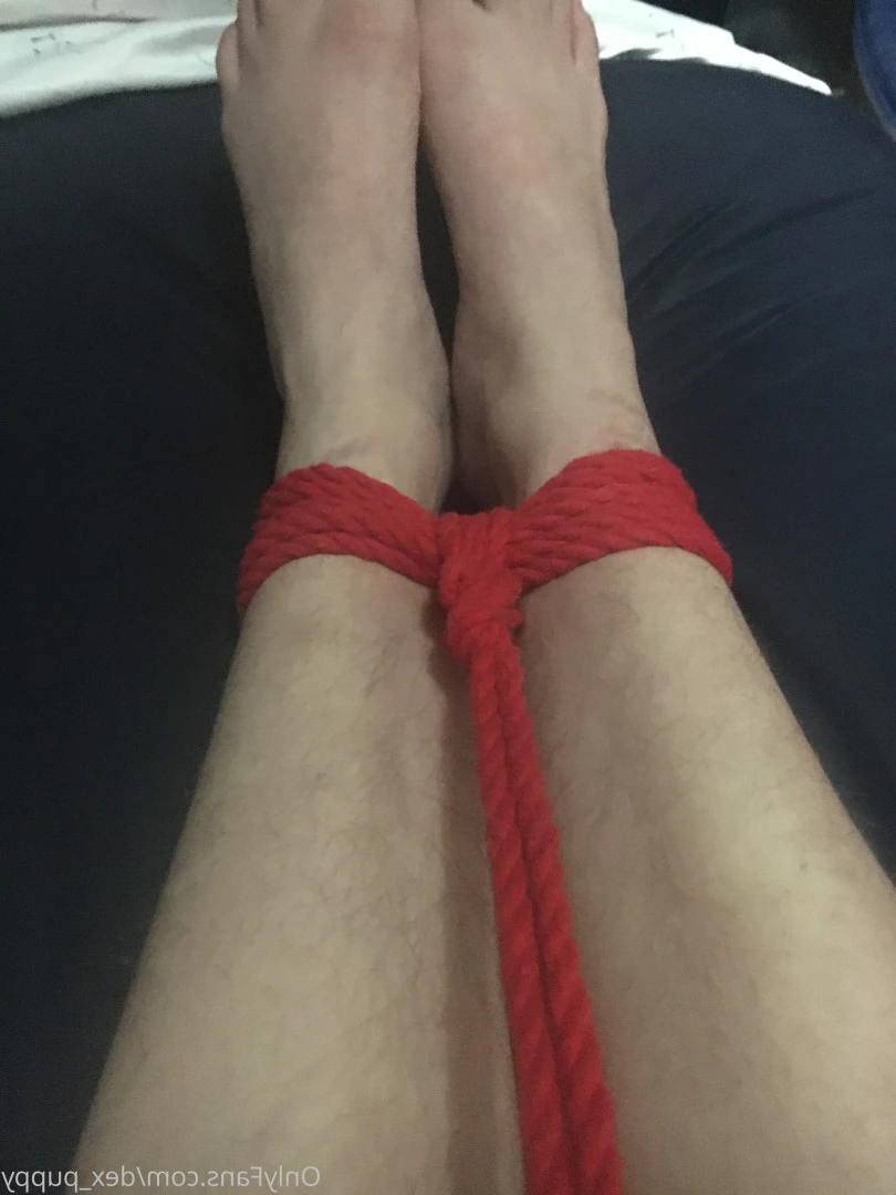 dex_puppy Onlyfans leaked photo 7906749 on Hotleaks.tv