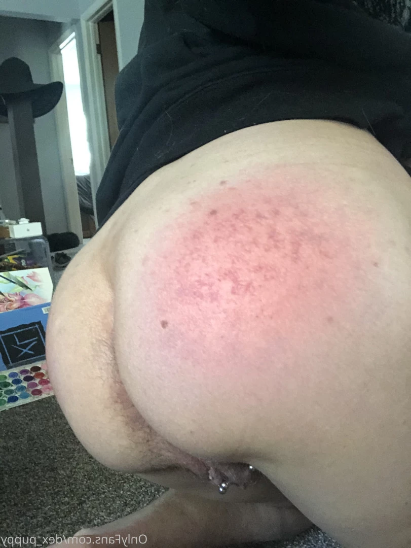 dex_puppy Onlyfans leaked photo 7906775 on Hotleaks.tv