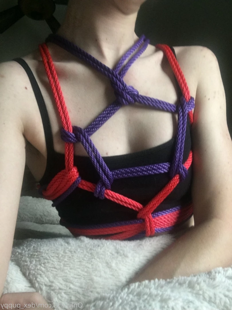 dex_puppy Onlyfans leaked photo 7907162 on Hotleaks.tv