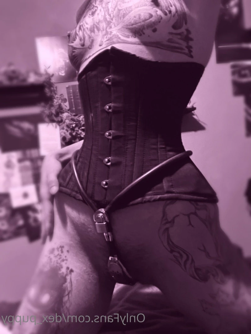 dex_puppy Onlyfans leaked photo 7907224 on Hotleaks.tv