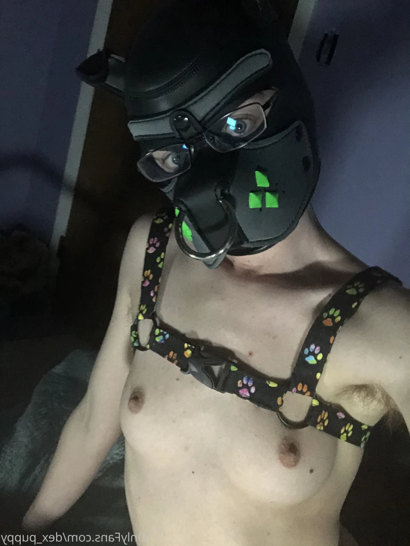 dex_puppy Onlyfans leaked photo 7907679 on Hotleaks.tv