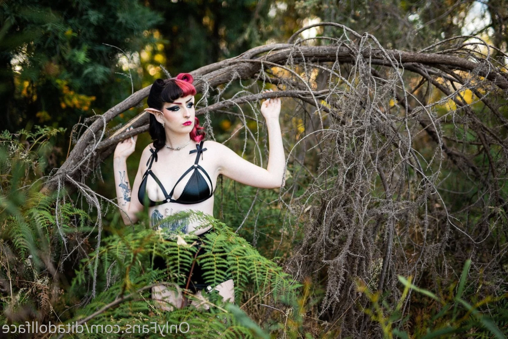 DITA DOLLFACE [ ditadollface ] Onlyfans leaked photo 14333024 on Hotleaks.tv