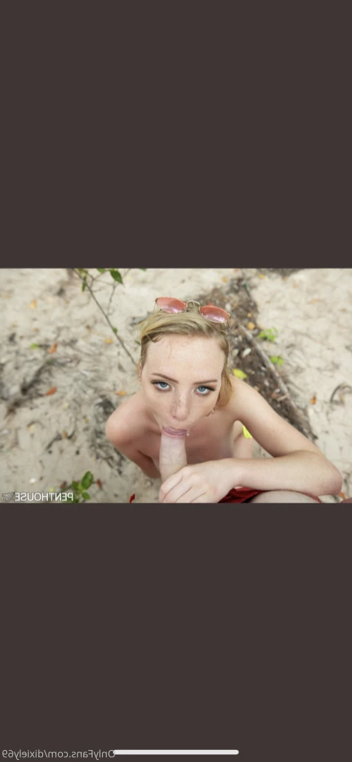 Dixie Lynn🤤😈 [ dixielynnxxx ] Onlyfans leaked photo 13955777 on Hotleaks.tv