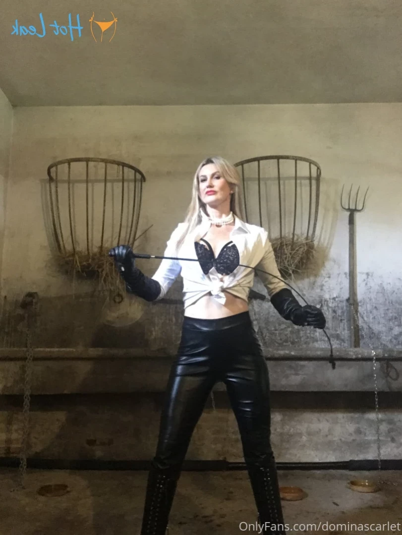 Mistress Scarlet [ dominascarlet ] Onlyfans leaked photo 12716910 on Hotleaks.tv
