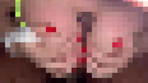 10533098