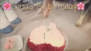 Elena Koshka [ elenakoshkaxoxo ] Onlyfans leaked video 13582877 on Hotleaks.tv