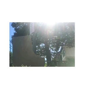 16001239