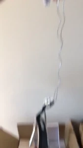 8297881