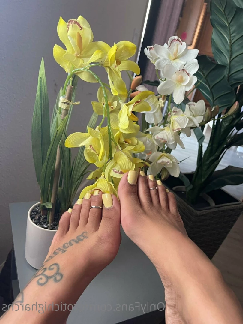 Queen Bella [ erotichigharchs ] Onlyfans leaked photo 7881363 on Hotleaks.tv