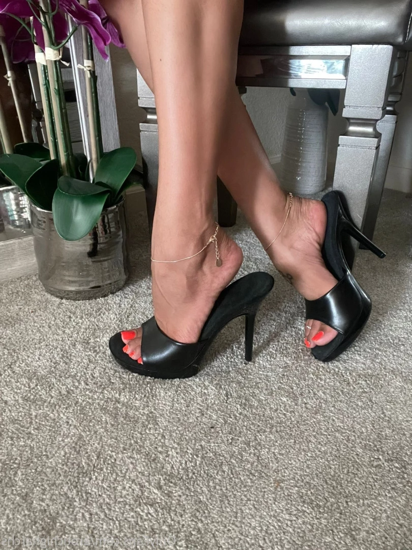 Queen Bella [ erotichigharchs ] Onlyfans leaked photo 7893399 on Hotleaks.tv