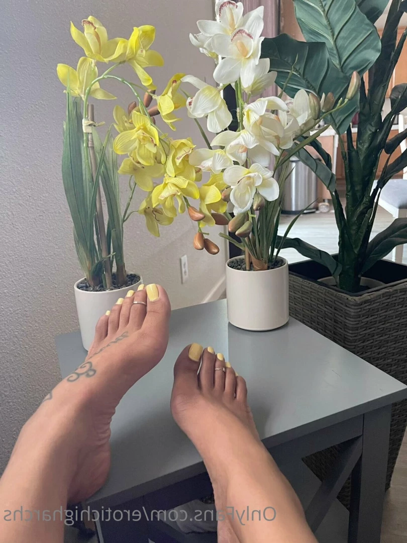 Queen Bella [ erotichigharchs ] Onlyfans leaked photo 7903380 on Hotleaks.tv