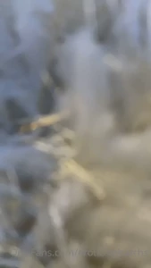 Queen Bella [ erotichigharchs ] Onlyfans leaked video 8295121 on Hotleaks.tv