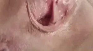 8293534
