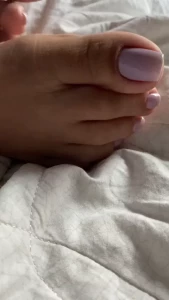 8293265