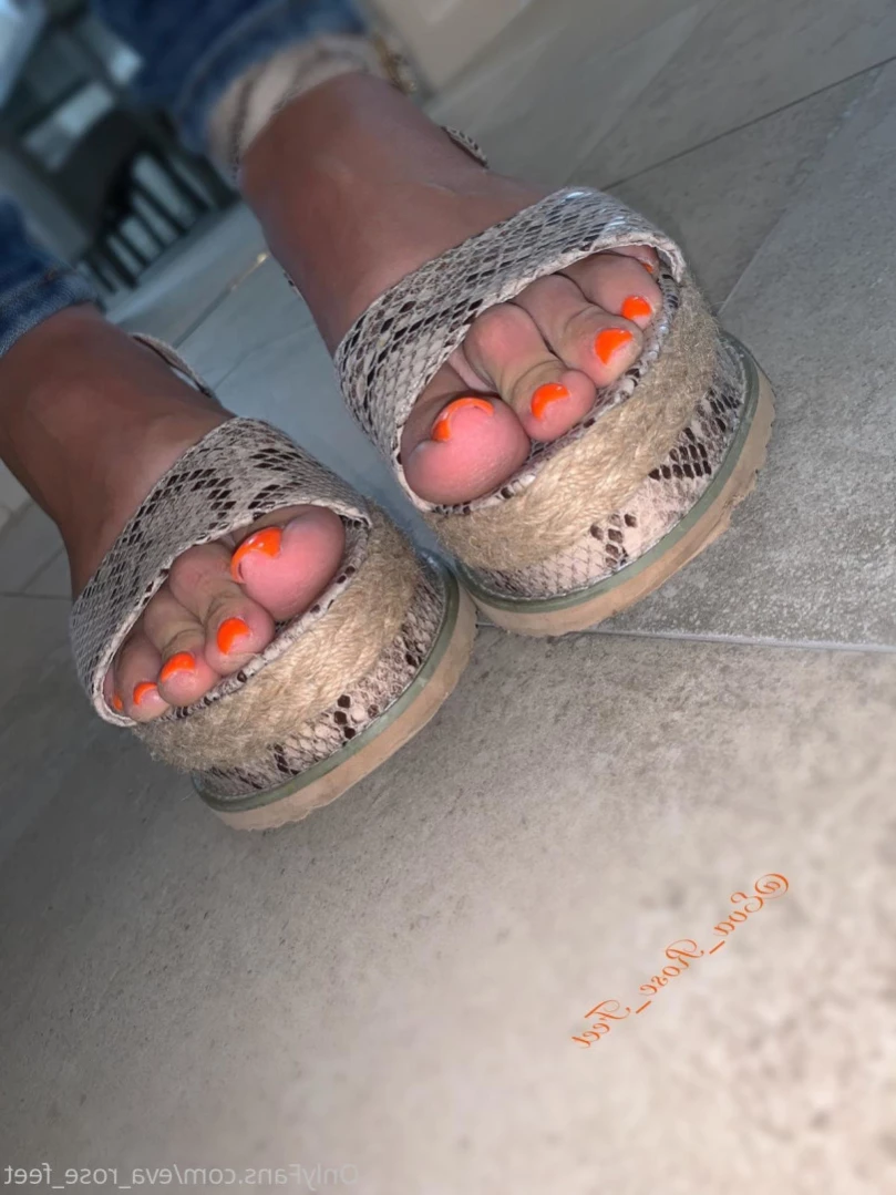 E [ eva_rose_feet ] Onlyfans leaked photo 14184514 on Hotleaks.tv