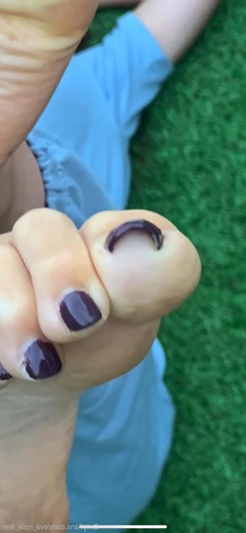 E [ eva_rose_feet ] Onlyfans leaked photo 14185180 on Hotleaks.tv