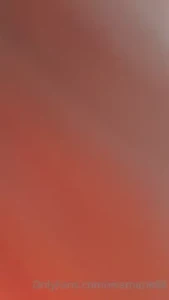18240833