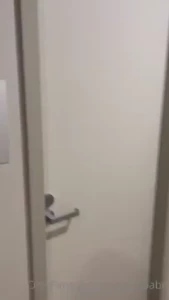 18239550