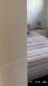18239555