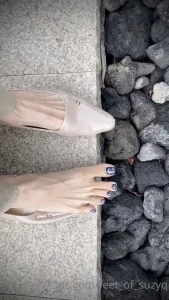 8273717
