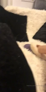 Candice [ findomcandice ] Onlyfans leaked video 8271866 on Hotleaks.tv