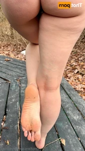 18623927