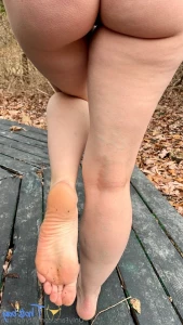 18623928