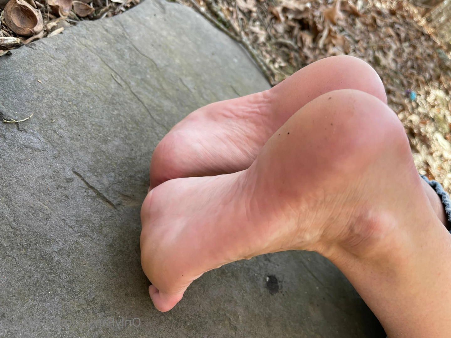 Flirty Paws [ flirtypaws ] Onlyfans leaked photo 11757212 on Hotleaks.tv