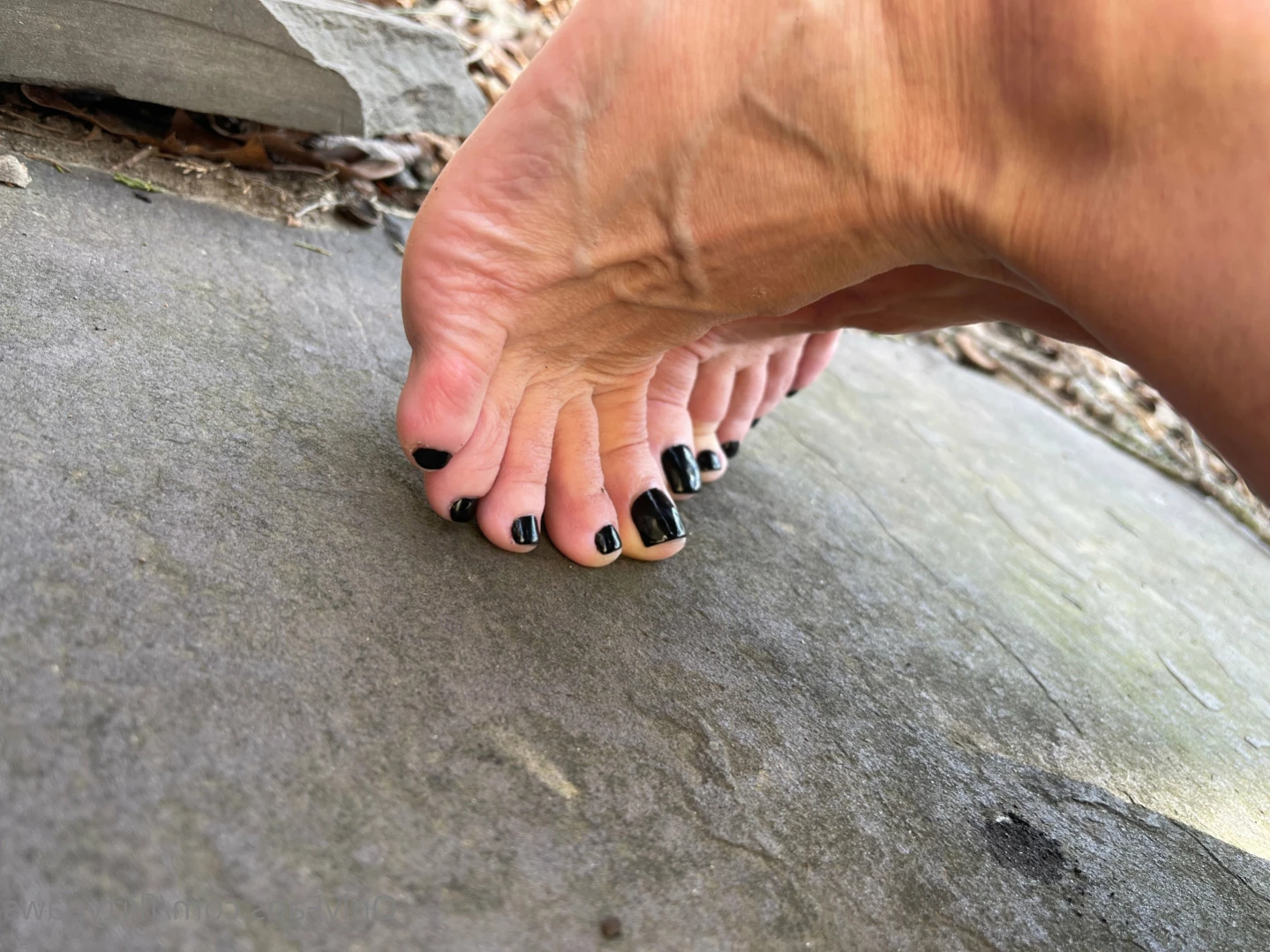 Flirty Paws [ flirtypaws ] Onlyfans leaked photo 13952723 on Hotleaks.tv