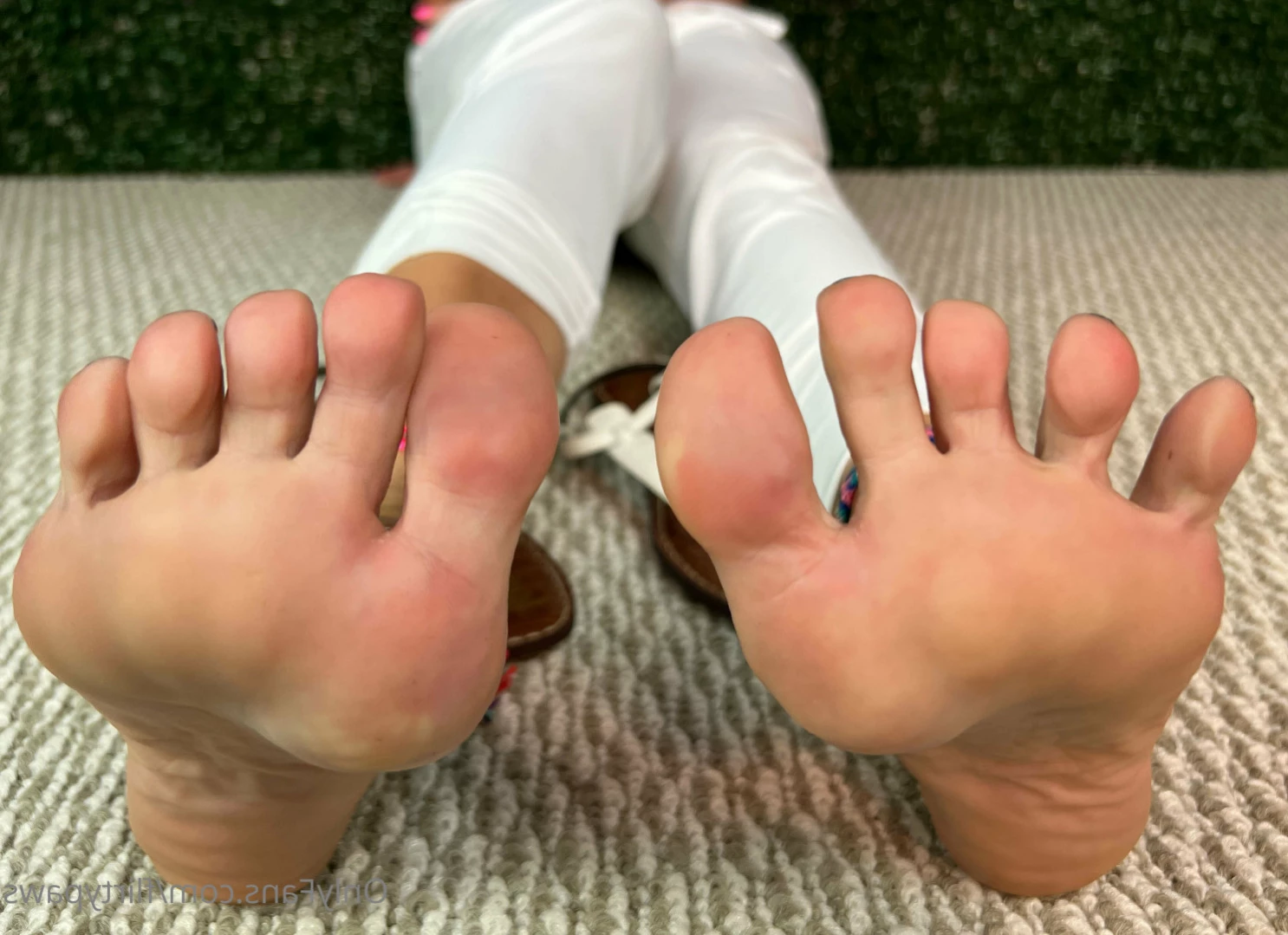 Flirty Paws [ flirtypaws ] Onlyfans leaked photo 15006896 on Hotleaks.tv