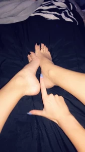 16246231