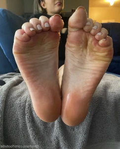 12445955