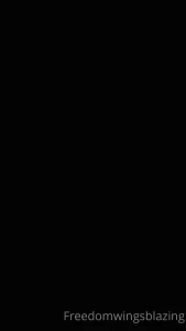 8260153