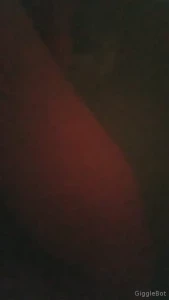 8248502