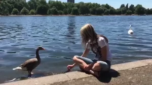Gina Gerson [ gina_gerson ] Onlyfans leaked video 10529196 on Hotleaks.tv