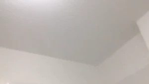 Gina Gerson [ gina_gerson ] Onlyfans leaked video 10529665 on Hotleaks.tv