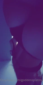 8231751