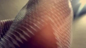 Leonie [ leoniemcsorleyx ] Onlyfans leaked video 1621592 on Hotleaks.tv