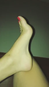 8230604