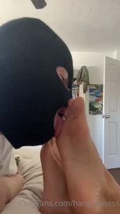 8223956