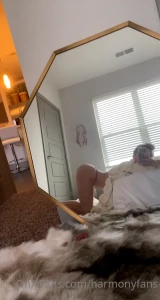 13752454
