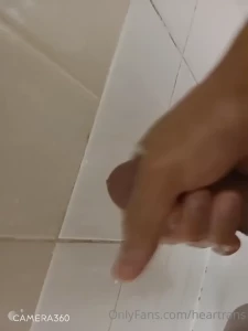 8219319